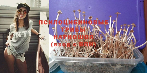 бутират Покачи