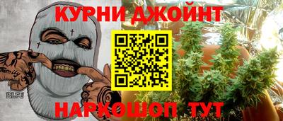 крисы Коммунар