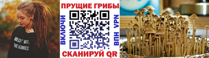 Галлюциногенные грибы MAGIC MUSHROOMS  дарнет шоп  Евпатория 