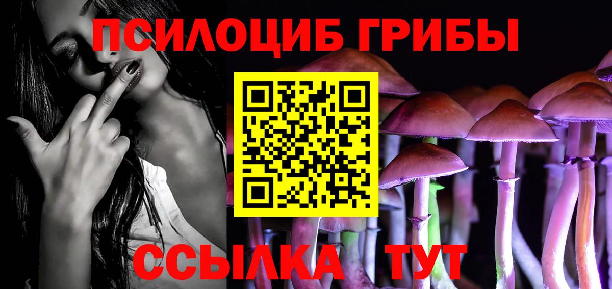 Псилоцибиновые грибы мицелий Евпатория