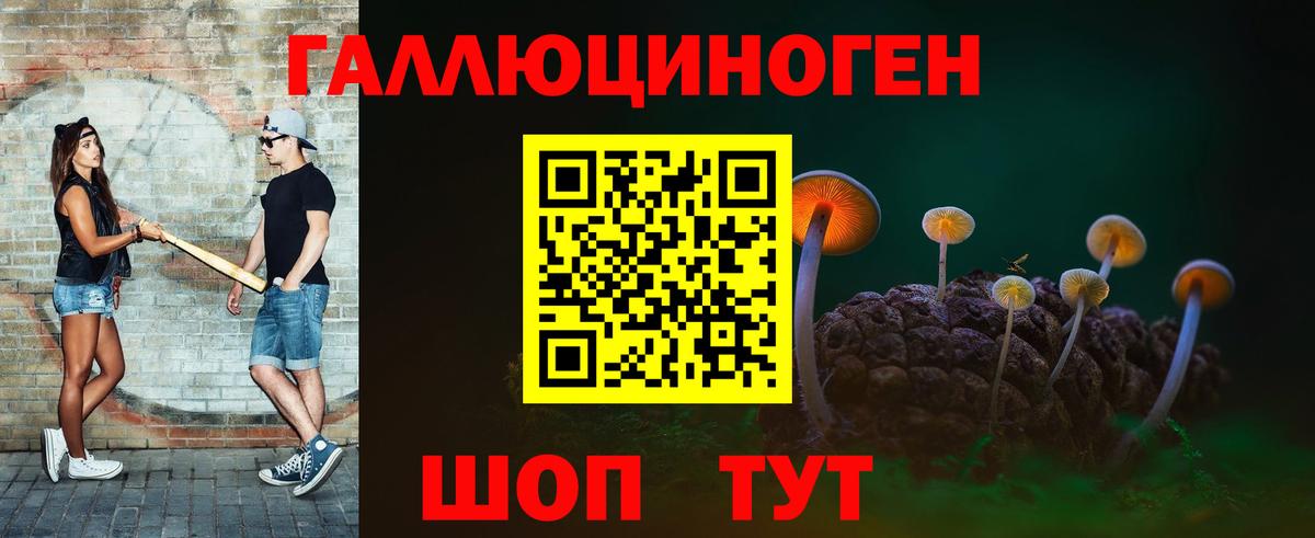 Евпатория  Псилоцибиновые грибы прущие грибы  Вход с VPN 